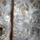 Illustration for article titled 5 European Countries Have Built Border Fences to Keep Out Refugees